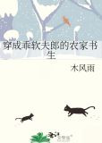 穿成乖软夫郎的农家书生txt百度云